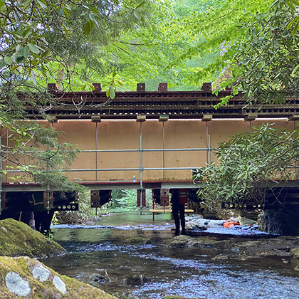 Scaffolding For Landmark Restoration